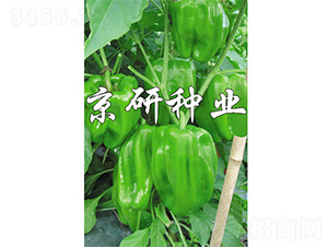 ����514-�����N��-����