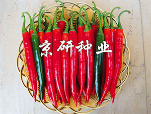 ����418-�����N��-����