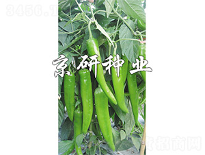 ����218-�����N��-����