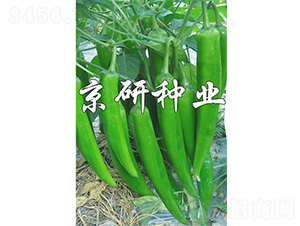 ����326-�����N��-����