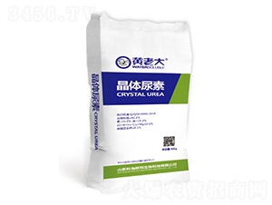 ���w����-�S�ϴ�-�ƺ�(li��n)��