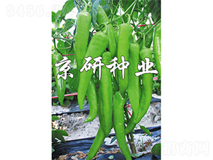 ����912-�����N��-����