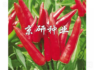 ���P-�����N��-����