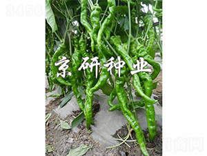 ����1̖-�����N��-����