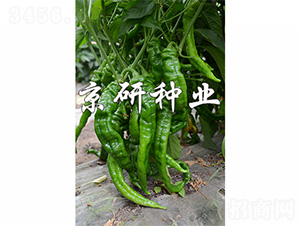 ����4̖-�����N��-����