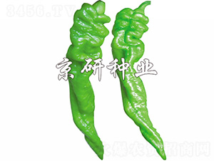 ����5̖-�����N��-����