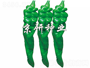 ����103-�����N��-����