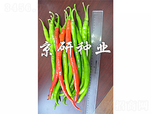 ����114-�����N��-����