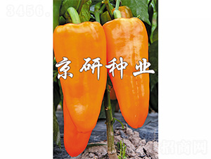 �S��-�����N��-����