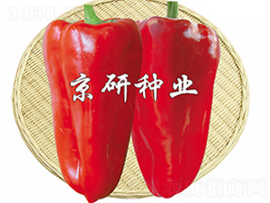 ���T4̖-�����N��-����