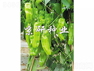 ����165-�����N��-����