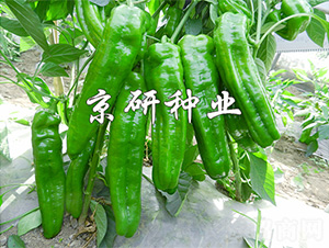 ����468-�����N��-����