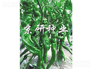 �ݽz��F1-�����N��-����