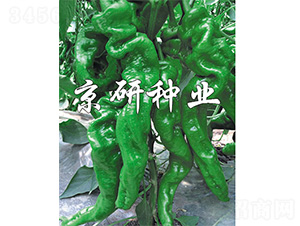 ����105-�����N��-����