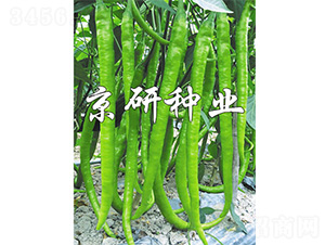 ����147-�����N��-����