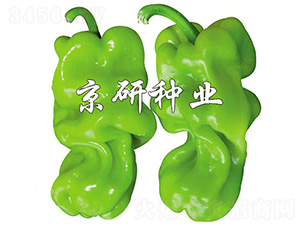 ���а�Ƥ3̖-�����N��-����