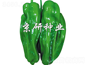 ����2̖-�����N��-����