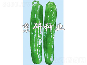 ����3̖-�����N��-����