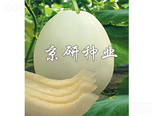 ����268-��ϷN��-����