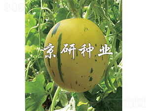 �����S����-��ϷN��-����