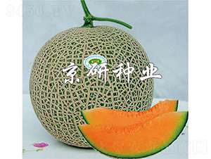 ����4̖-��ϷN��-����