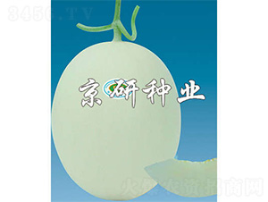 ����3̖-��ϷN��-����