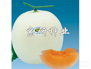 ����2̖-��ϷN��-����