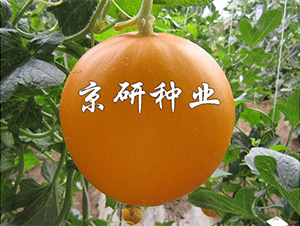 ����ɯ��2̖-��ϷN��-����