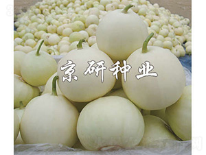 ����352-��ϷN��-����