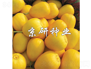 ����357-��ϷN��-����