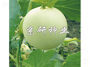 ����1̖-��ϷN��-����