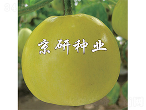 ����415-��ϷN��-����