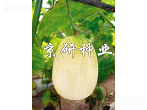 ������-��ϷN��-����