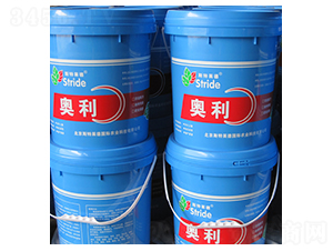 �W���_ʩ��-˹���R��-�|��