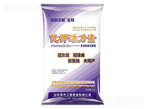 �๦�܏�(f��)�Ͼ��̓�(y��u)⛻�����-���ǷʘI(y��)