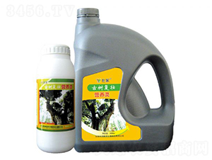 �Ř��(f��)�ѠI(y��ng)�B(y��ng)�`-����-�ƺ�(li��n)��