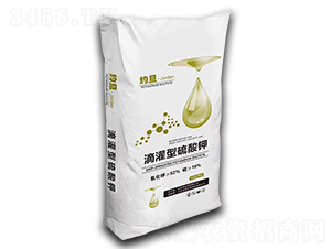 �ι��������-�s��-�︦����