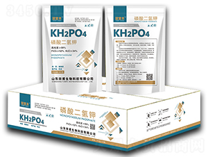 ��������-�ڌ��S-�︦����