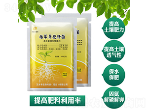 �ݲ�ѿ�ߗU��-�f�l(xi��ng)�S����