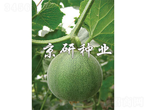 ����G��-��ϷN��-����