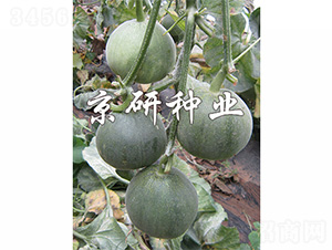 ����G��3̖(h��o)-��ϷN��-����