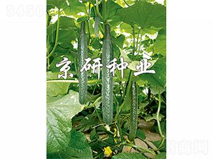 ����107-�S�ϷN��-����