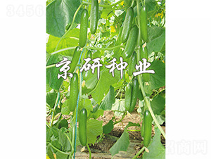 ��������7̖(h��o)-�S�ϷN��-����