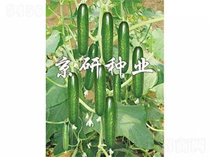 ��������4̖(h��o)-�S�ϷN��-����