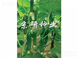 ��������2̖-�S�ϷN��-����