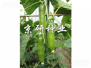 ���оG�ᭇ2̖-�S�ϷN��-����