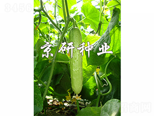 ���к���7̖-�S�ϷN��-����