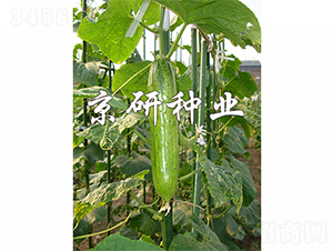 ���к���2̖-�S�ϷN��-����