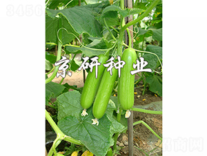 ���д�������2̖-�S�ϷN��-����