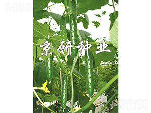 ���2̖-�S�ϷN��-����